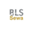 BLS E-Services Ltd