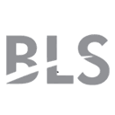BLS International Services Ltd