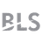 BLS International Services Ltd
