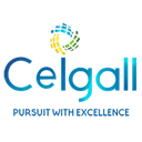 Ceigall India Ltd