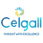 Ceigall India Ltd