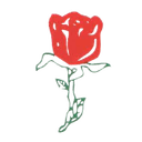 Elegant Floriculture & Agrotech (India) Ltd