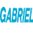 Gabriel India Ltd