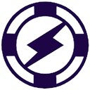 India Nippon Electricals Ltd