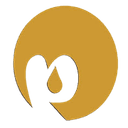 Manorama Industries Ltd