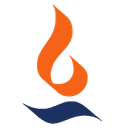 Max Financial Services Ltd
