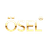 OSEL Devices Ltd