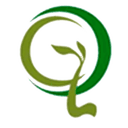 Oswal Green Tech Ltd