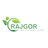 Rajgor Castor Derivatives Ltd