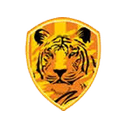 Rajputana Industries Ltd