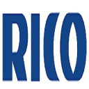 Rico Auto Industries Ltd