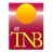 Shree TNB Polymers Ltd