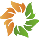 Solara Active Pharma Sciences Ltd