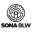 Sona BLW Precision Forgings Ltd