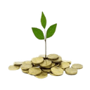 Yamini Investment Company Ltd