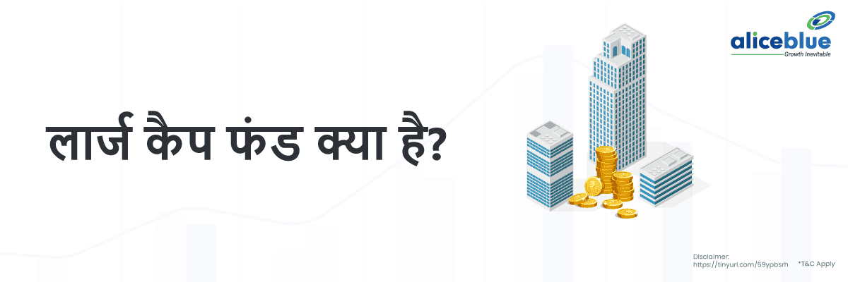लार्ज कैप म्यूचुअल फंड क्या हैं? – Large Cap Mutual Funds Meaning in Hindi - featured image