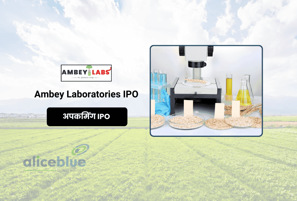 Ambey Laboratories IPO: 4 जुलाई को खुलेगा इश्यू, यहां जानिए GMP, प्राइस बैंड, IPO से जुड़ी पूरी डिटेल!