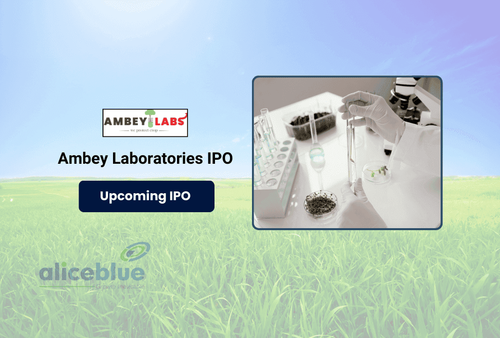 Ambey Laboratories IPO GMP Today, Price Range and Company Details