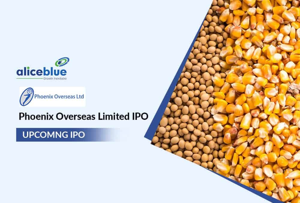 Phoenix Overseas Limited IPO GMP Today, Price Range and Company Details