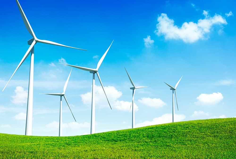 NTPC Green Energy IPO: Do you hold NTPC shares? If yes, here's how you can benefit from the IPO