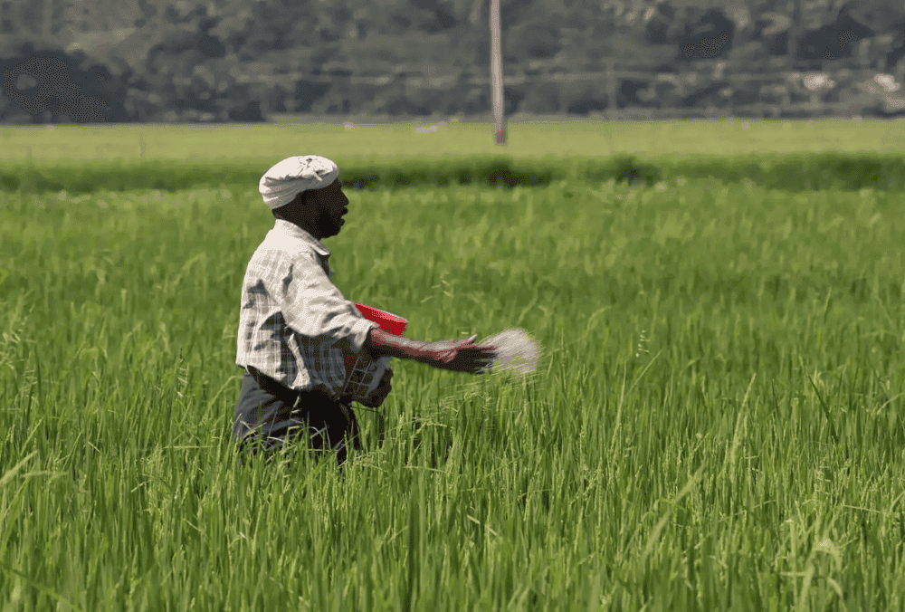 GNFC signs MoU with UK based company for manufacturing of acetic acid in India