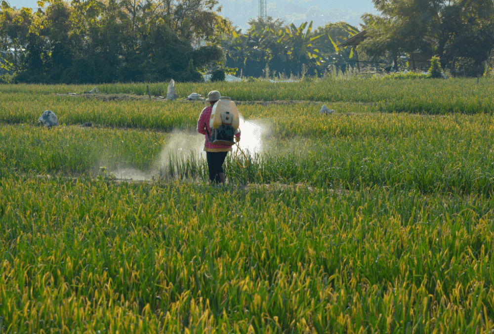 Agrochemical stock jumps 5% after Govt grants 20 year patent to the company