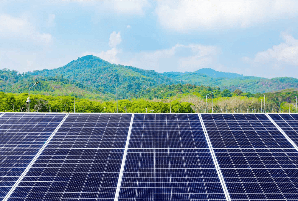 Solar stock jumps after it receives multiple orders worth ₹1087 Cr for solar modules and cells