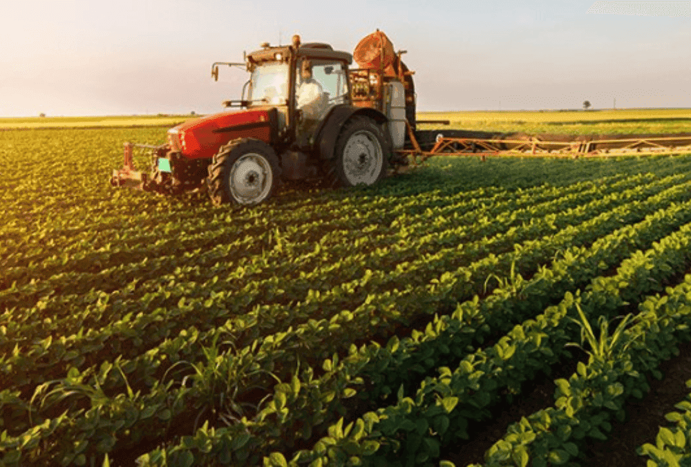 Agri stock hits upper circuit after it signs MoU with Vedant Starch for 2,000 metric tonnes of starch