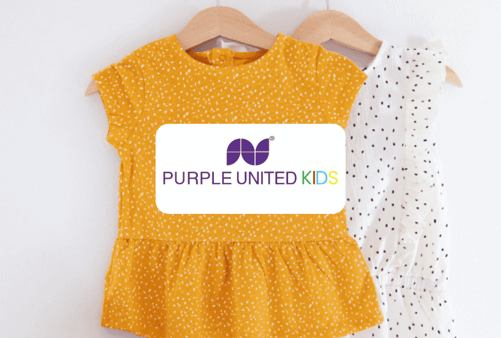 Purple United Sales IPO Day 3: Check GMP, Price Band, Allotment Dates Here