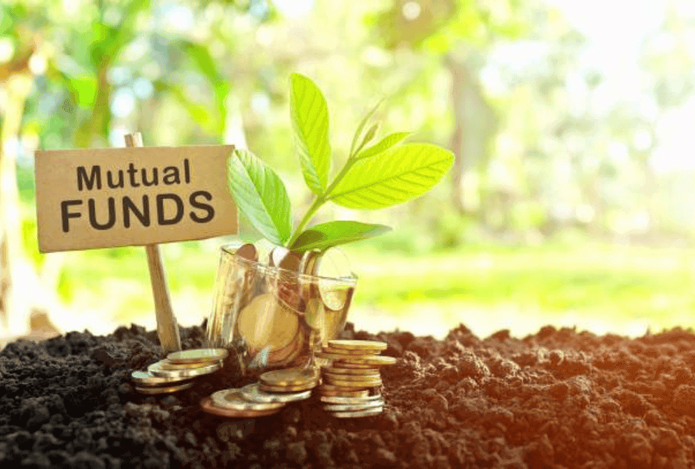 3 स्टॉक्स जिन में Birla Mutual Fund ने Q2 में नई हिस्सेदारी खरीदी, क्या इनमें से कोई आप के पोर्टफोलियो में है?
