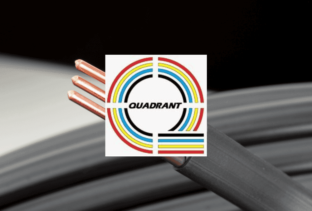 Quadrant Future Tek IPO: Check the latest allotment date for Quadrant Future Tek IPO here