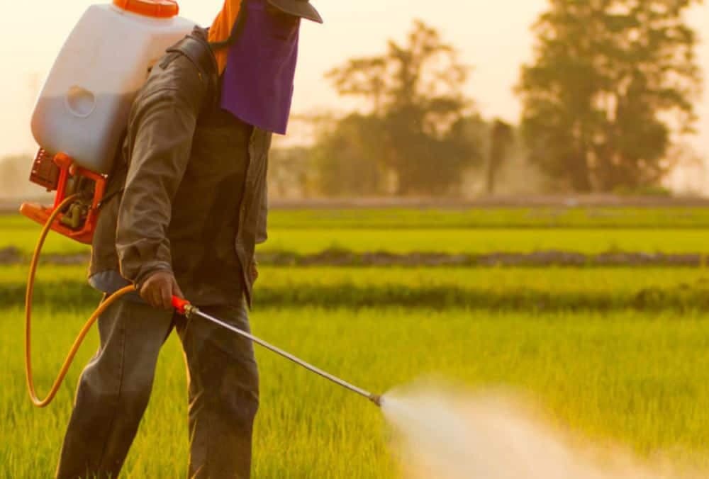 एग्रोकेमिकल स्टॉक 8% गिरावट, कंपनी के नेट प्रॉफिट में 26.6% तिमाही गिरावट के बाद।