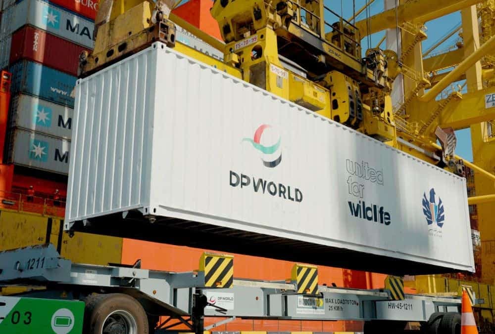 Infra stock jumps after it receives order worth ₹1,283 Cr from DP World Group