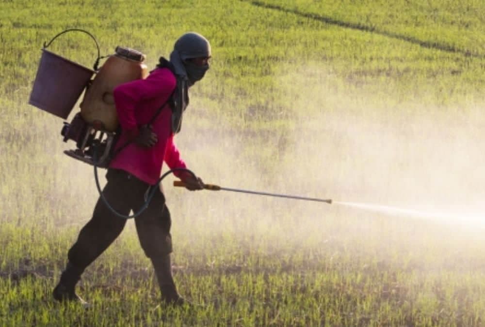 Fertilizer stock jumps after company signs MoU worth ₹4,000 Cr with Govt of Odisha
