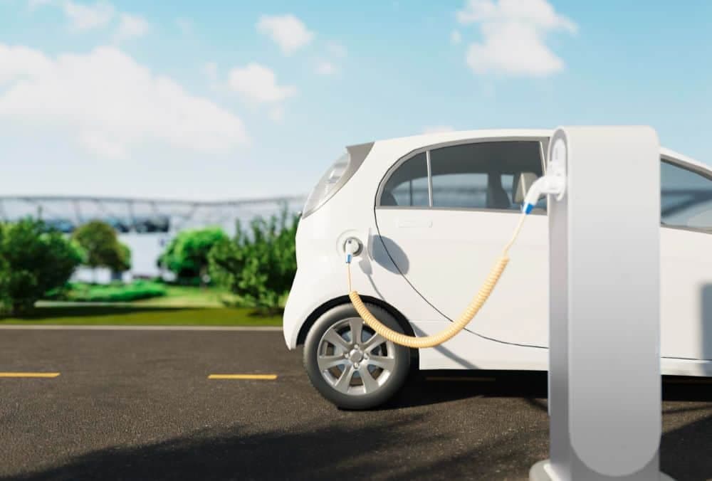 EV stocks: How were the EV sales for the month of January 2025?