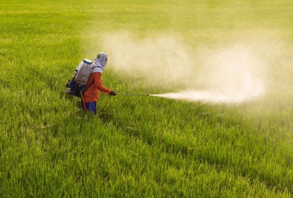 Agrochemical stock hits 5% upper circuit after reporting ₹13 Cr profit compared to ₹50 Cr loss in previous Qtr