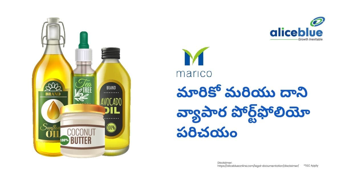 మారికో మరియు దాని వ్యాపార పోర్ట్ఫోలియో పరిచయం – Introduction To Marico And Its Business Portfolio In Telugu - featured image
