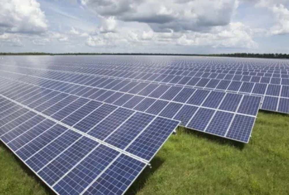 PSU stock jumps after it acquires 100% stake in PTC Energy for ₹925 Cr