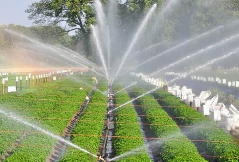 कंपनी के सिंचाई इंफ्रास्ट्रक्चर के लिए ₹617 करोड़ के समझौते के बाद, Infra स्टॉक 5% के अपर सर्किट पर पहुंचा।