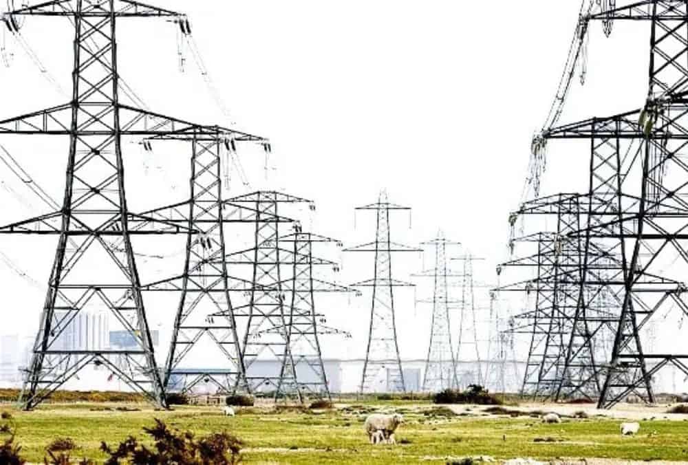पॉवर स्टॉक ने ₹240 करोड़ का ऑर्डर मिलने के बाद ट्रांसमिशन और डिस्ट्रीब्यूशन सेक्टर में 5% की बढ़त दर्ज की।