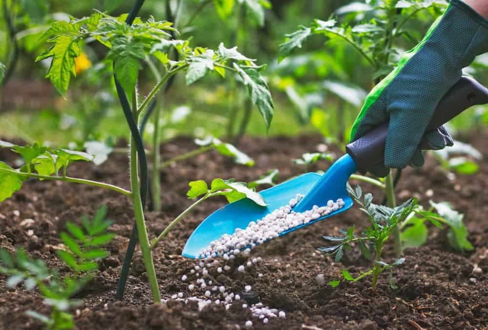 Deepak Fertilisers: Stock jumps after signing agreement with Sunsure Energy