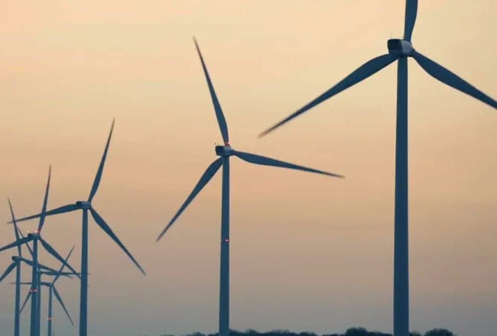 Q4 Results: Renewable energy stock jumps 11% after reporting 82% YoY increase in net profits