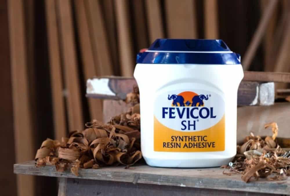 Fevicol manufacturing stock in focus after announcing 1:1 bonus shares and ₹10 dividend