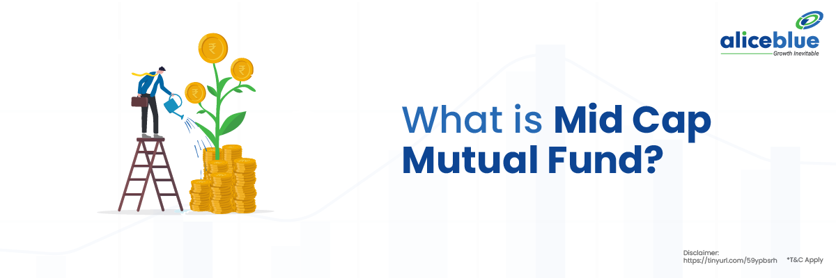 What is Mid Cap Mutual Fund