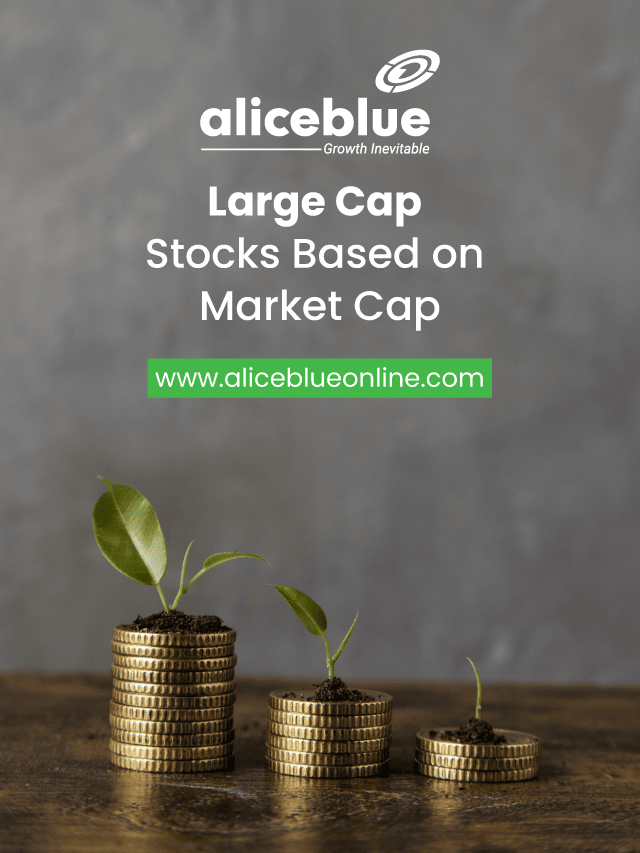 Large Cap Stocks Based on Market Cap
