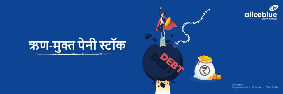 Debt Free Penny Stock Hindi