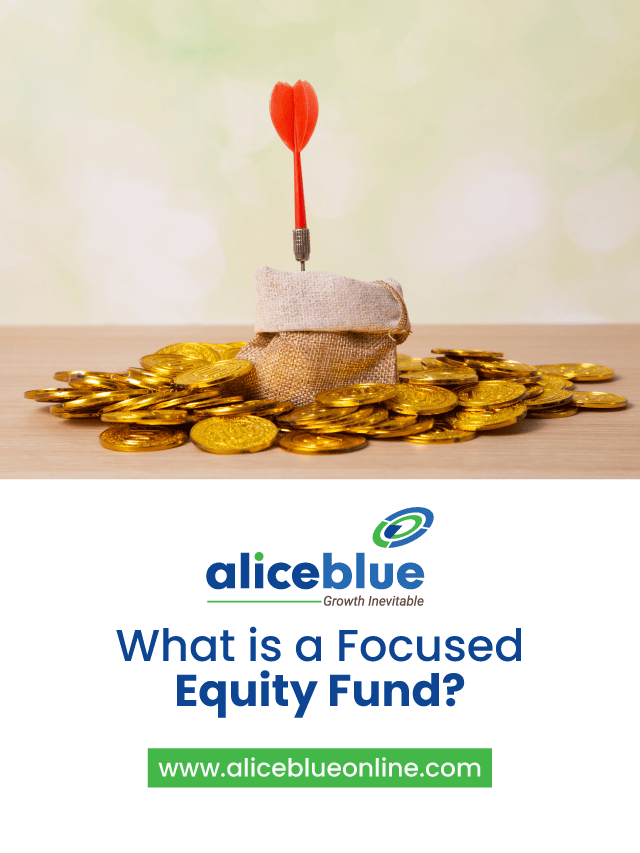 What is a Focused Equity Fund