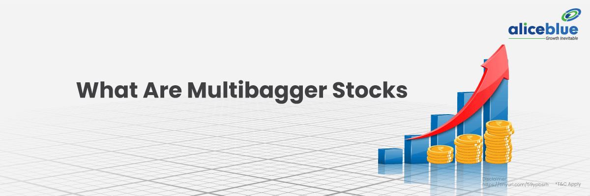 What Are Multibagger Stocks