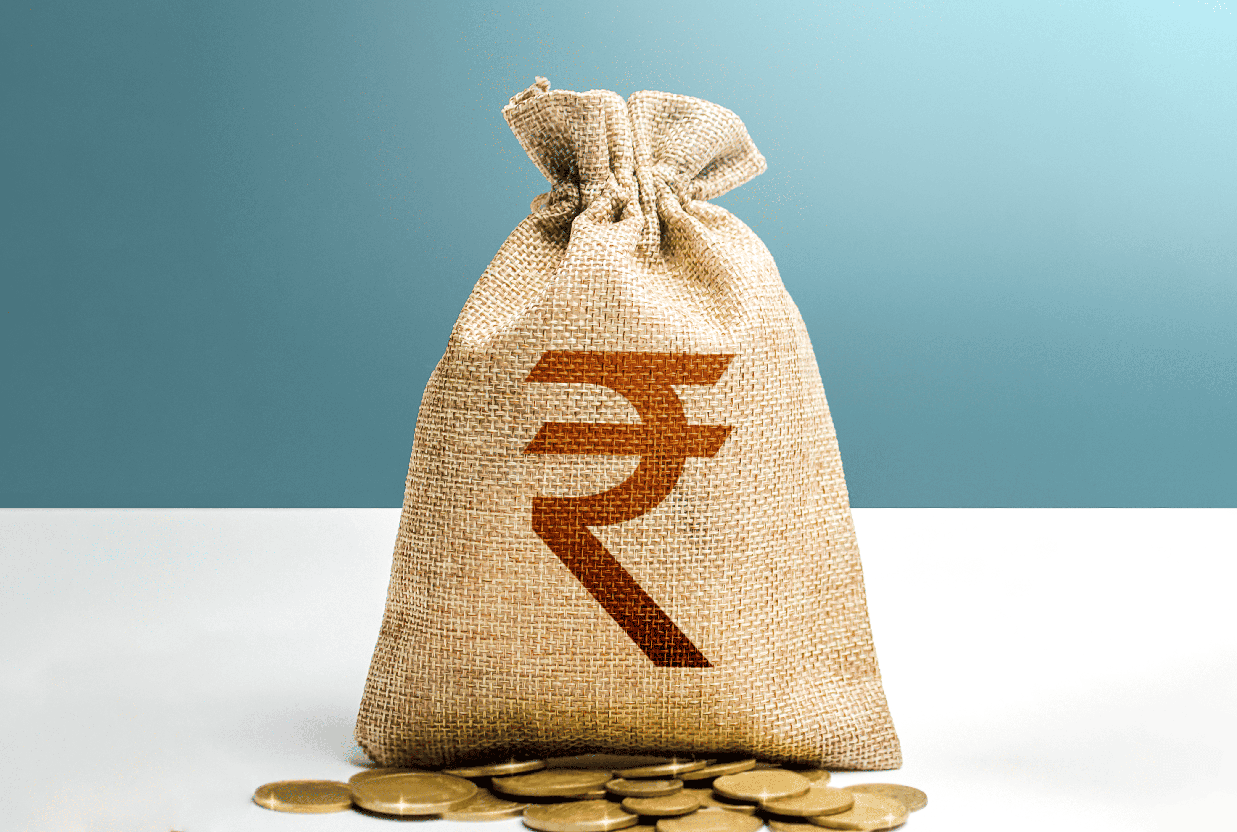 333 Tax Bag Rupee Images, Stock Photos, 3D objects, & Vectors | Shutterstock