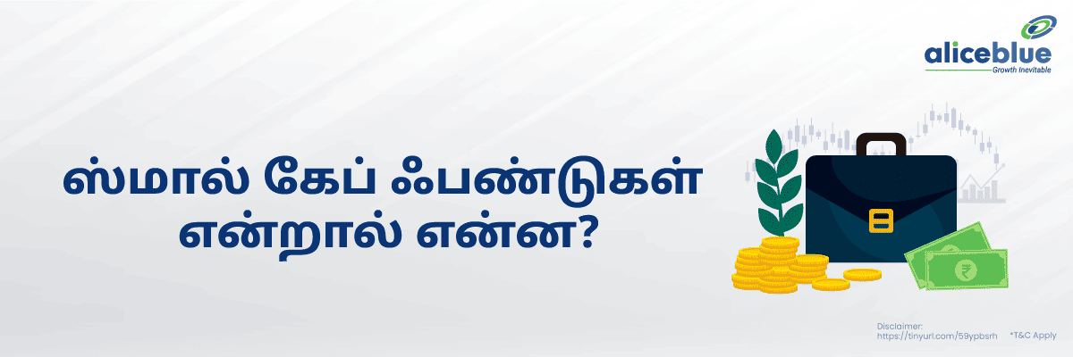 What Are Small Cap Funds Tamil